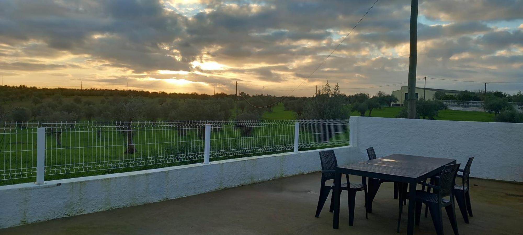 Snow Guest House Santarém Екстериор снимка